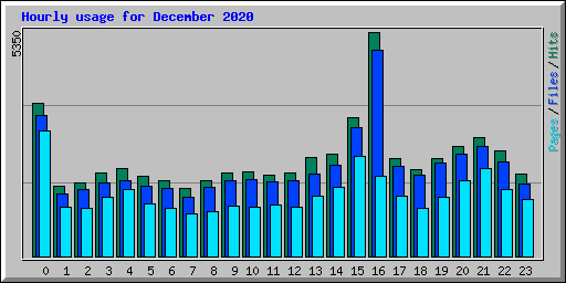 Hourly usage for December 2020