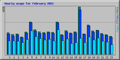 Hourly usage for February 2021