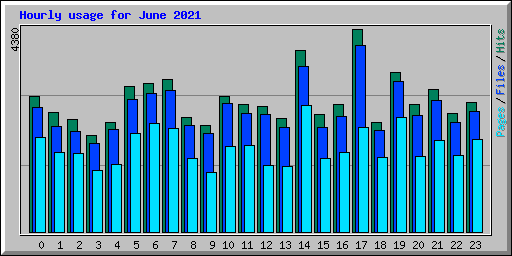 Hourly usage for June 2021