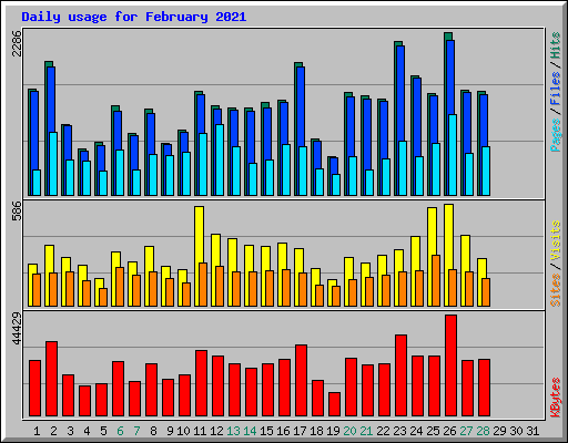 Daily usage for February 2021