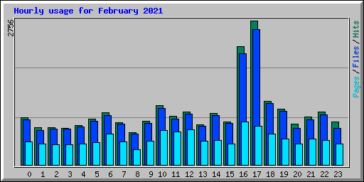 Hourly usage for February 2021