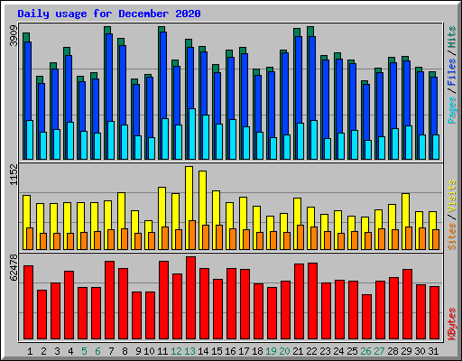Daily usage for December 2020