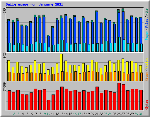 Daily usage for January 2021