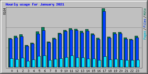 Hourly usage for January 2021
