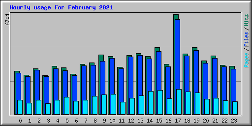 Hourly usage for February 2021