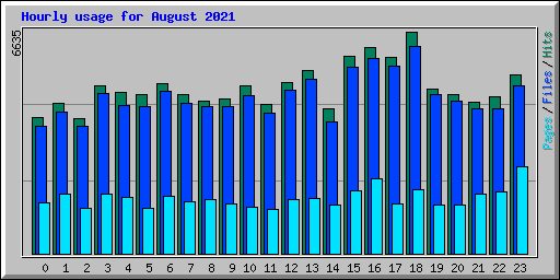 Hourly usage for August 2021