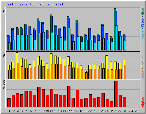 Daily usage for February 2021