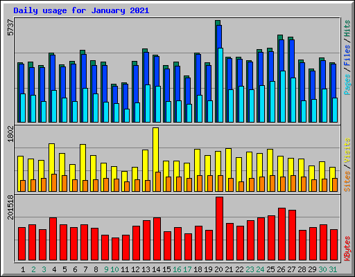 Daily usage for January 2021