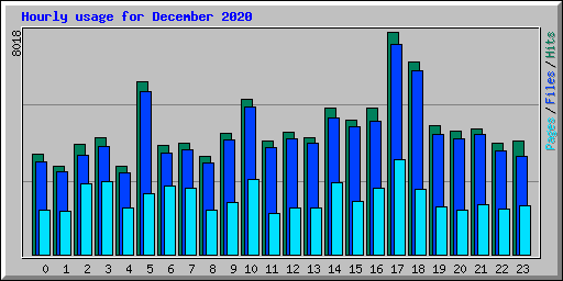 Hourly usage for December 2020