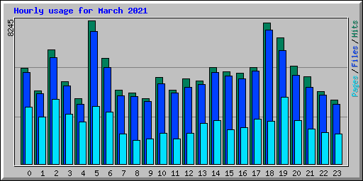 Hourly usage for March 2021