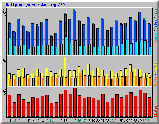 Daily usage for January 2021