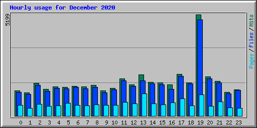Hourly usage for December 2020