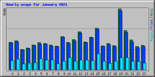 Hourly usage for January 2021