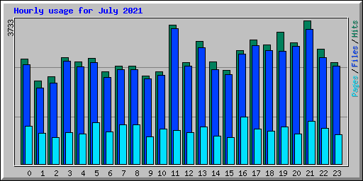 Hourly usage for July 2021