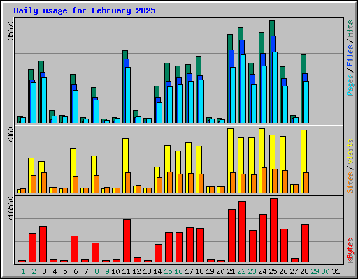 Daily usage for February 2025