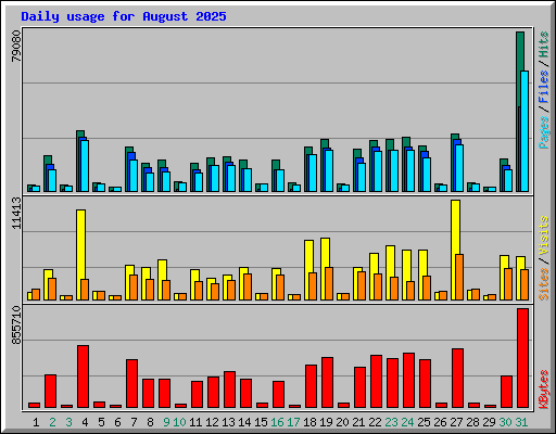 Daily usage for August 2025