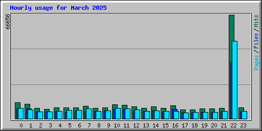 Hourly usage for March 2025