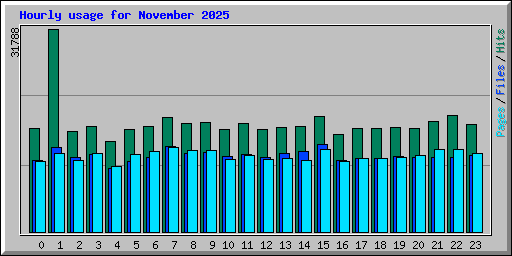 Hourly usage for November 2025
