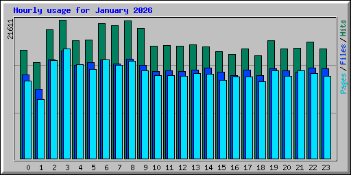 Hourly usage for January 2026