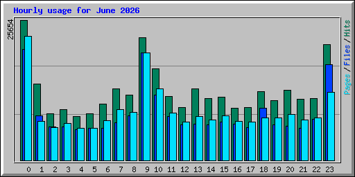 Hourly usage for June 2026