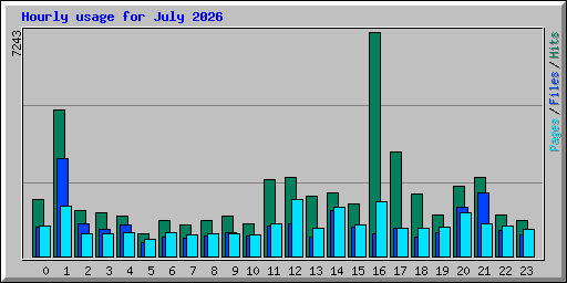Hourly usage for July 2026