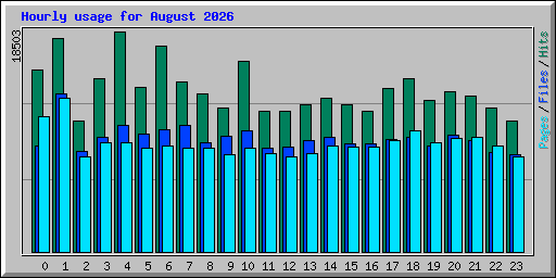 Hourly usage for August 2026
