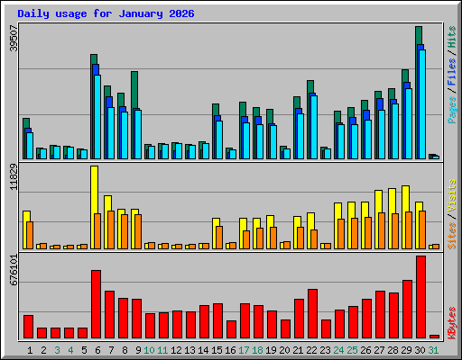 Daily usage for January 2026