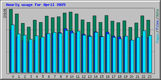 Hourly usage for April 2025