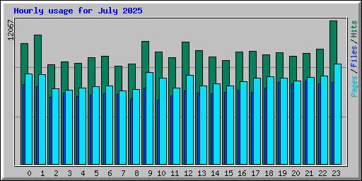 Hourly usage for July 2025