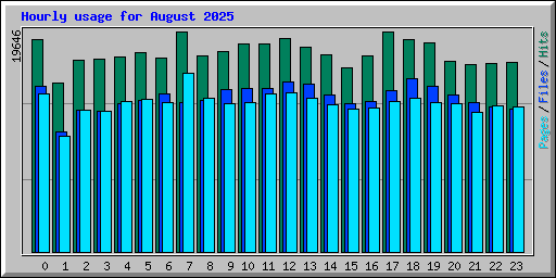 Hourly usage for August 2025