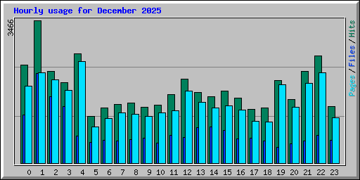 Hourly usage for December 2025