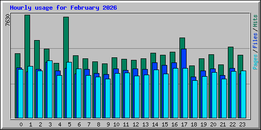 Hourly usage for February 2026