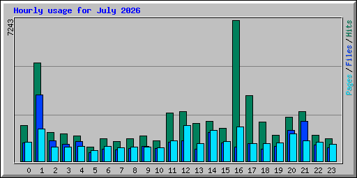 Hourly usage for July 2026