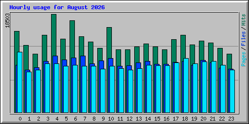 Hourly usage for August 2026