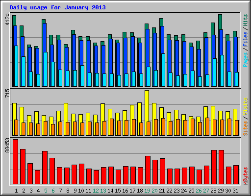 Daily usage for January 2013