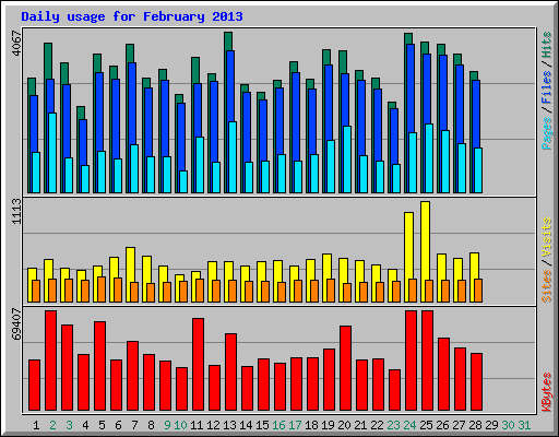 Daily usage for February 2013