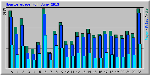 Hourly usage for June 2013