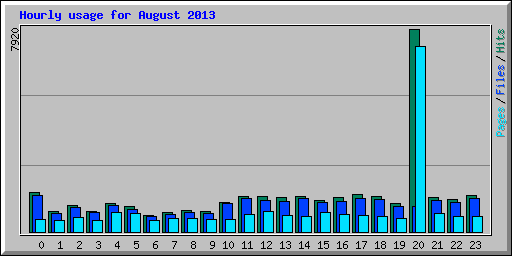 Hourly usage for August 2013