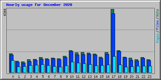 Hourly usage for December 2020