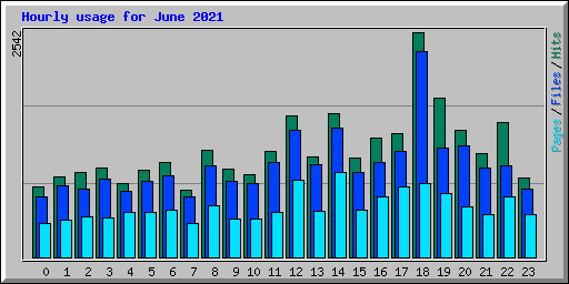 Hourly usage for June 2021