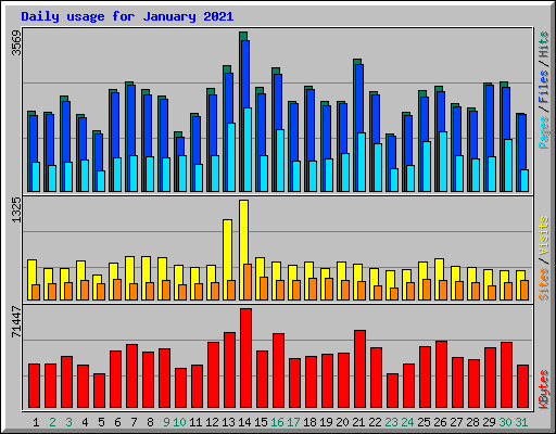 Daily usage for January 2021