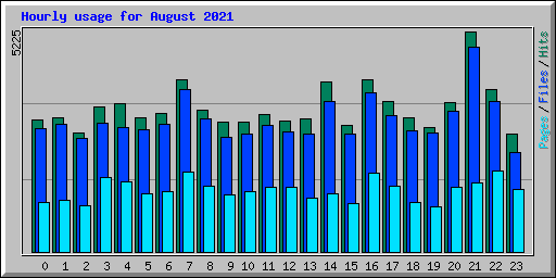 Hourly usage for August 2021