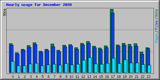 Hourly usage for December 2020