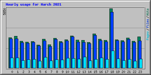 Hourly usage for March 2021