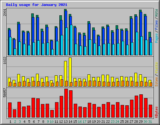Daily usage for January 2021