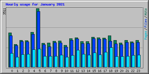 Hourly usage for January 2021